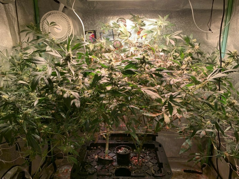 E869FA32-85DA-4B0E-87D7-B6E611484DDF