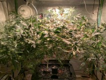 E869FA32-85DA-4B0E-87D7-B6E611484DDF