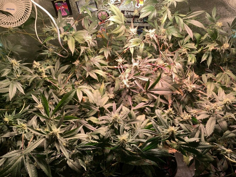 F7F1F813-EC69-4C46-89CD-CEFEB4C54FE4