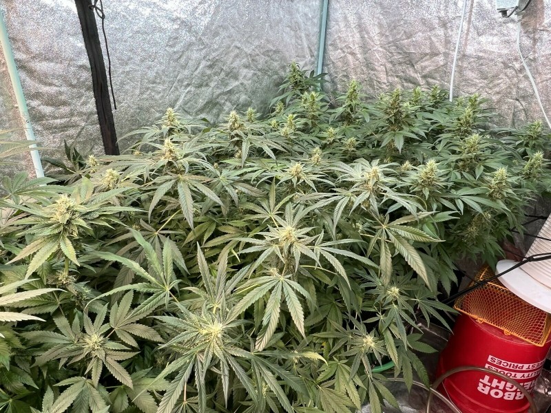 ADCB1BE1-B6BD-460D-9B44-3DF0510EF266