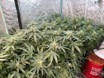 ADCB1BE1-B6BD-460D-9B44-3DF0510EF266