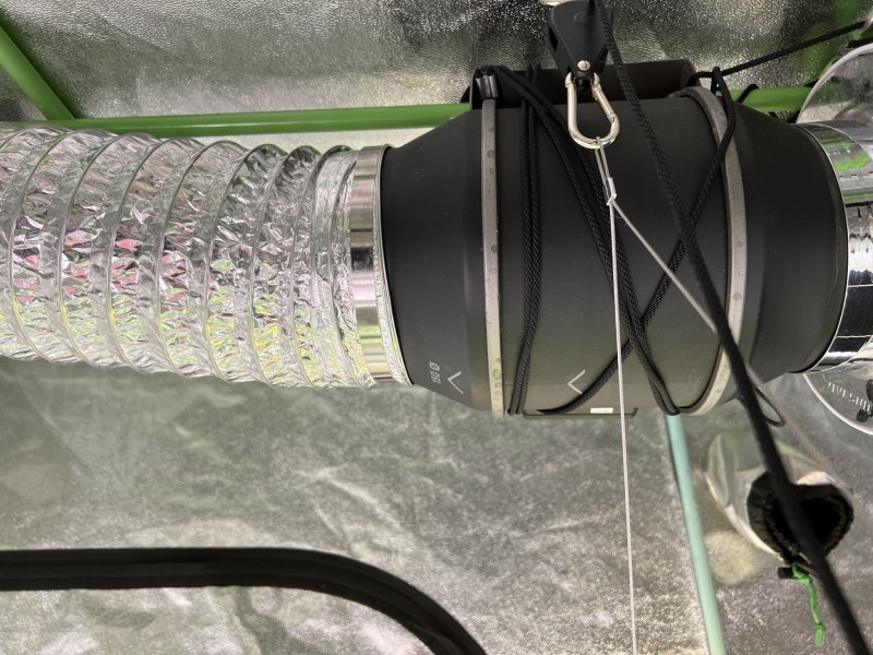 6826029F-EEB6-495B-BADD-D629CDA2F74E