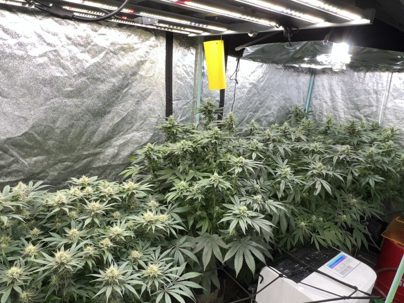 595ED235-2E28-436F-83CF-52FC3598CDFD