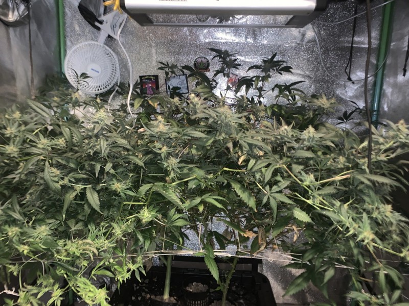 C9E0FC24-A2CE-4614-B2A1-F0022AE3C2A6