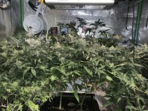 C9E0FC24-A2CE-4614-B2A1-F0022AE3C2A6