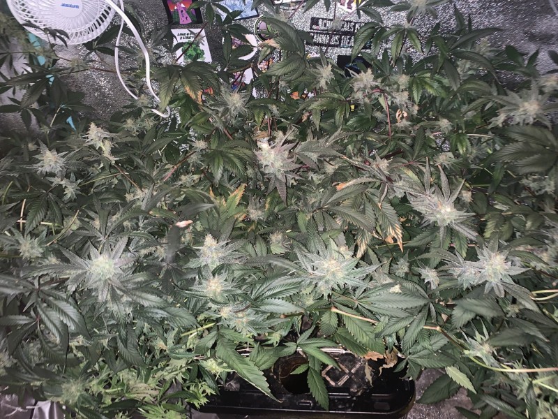 1B521D9F-579E-4FAC-A0C2-845473AE6FAC