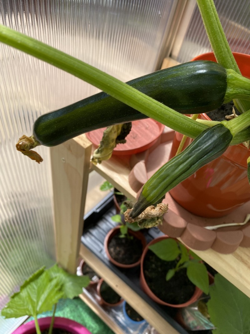 CA887B67-340B-4987-AF14-DA9F8927BCC8