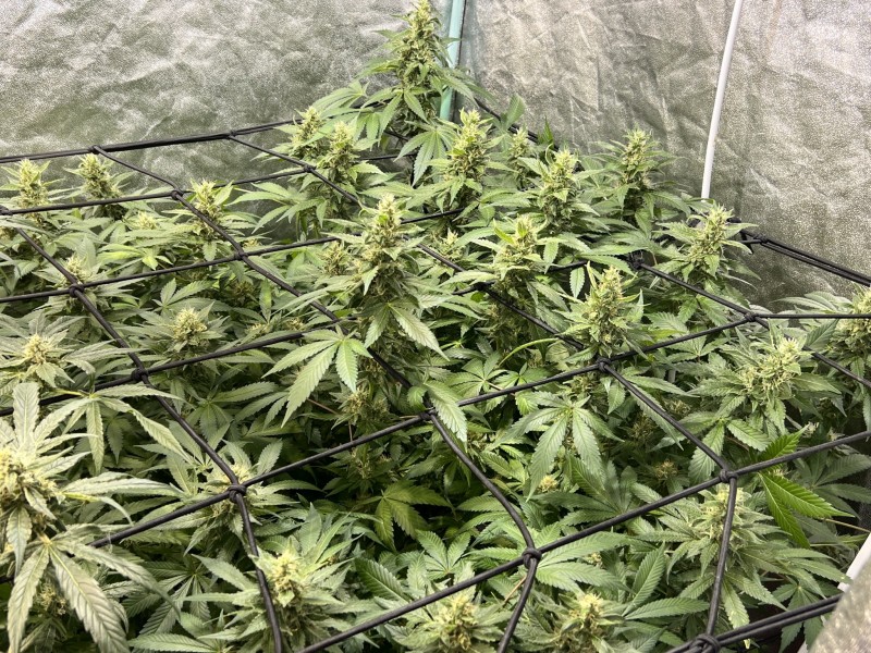 C6CBAA04-900B-4656-8539-10EE3E9610C0