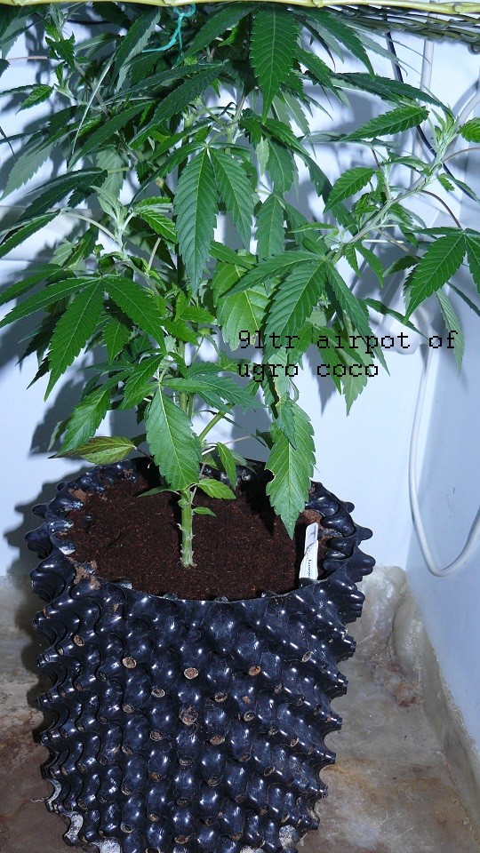 drobes 30 06 22,td 004