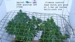 drobes 30 06 22,td 005