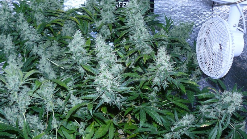 drobes 30 06 22,td 030