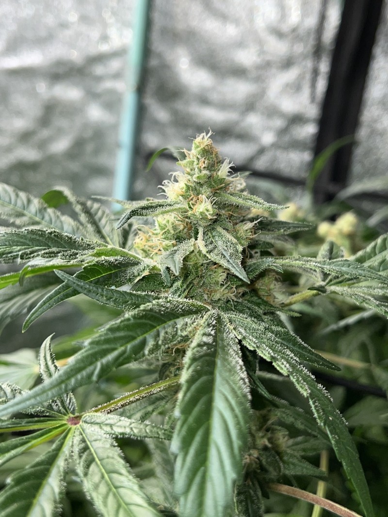 20BD5087-A6C1-427E-9799-1604729B5758