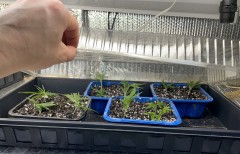 DBDE6589-0A80-43F6-ABD6-C2D94CCA4AA3