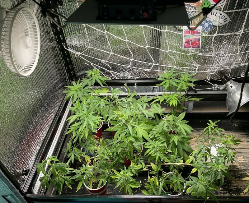 96832BA6-AAAC-4C1E-BB96-8D0B412E50D8