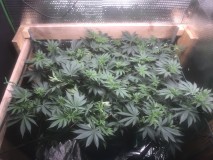 70C2BB49-72F2-4742-B001-5A4418A33D1B