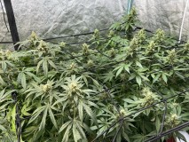 94F36EB4-A57B-42BF-8E81-E5C645BAF5E2