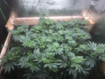 E7BCDE44-2D92-4520-A1B2-403AA1087EBB