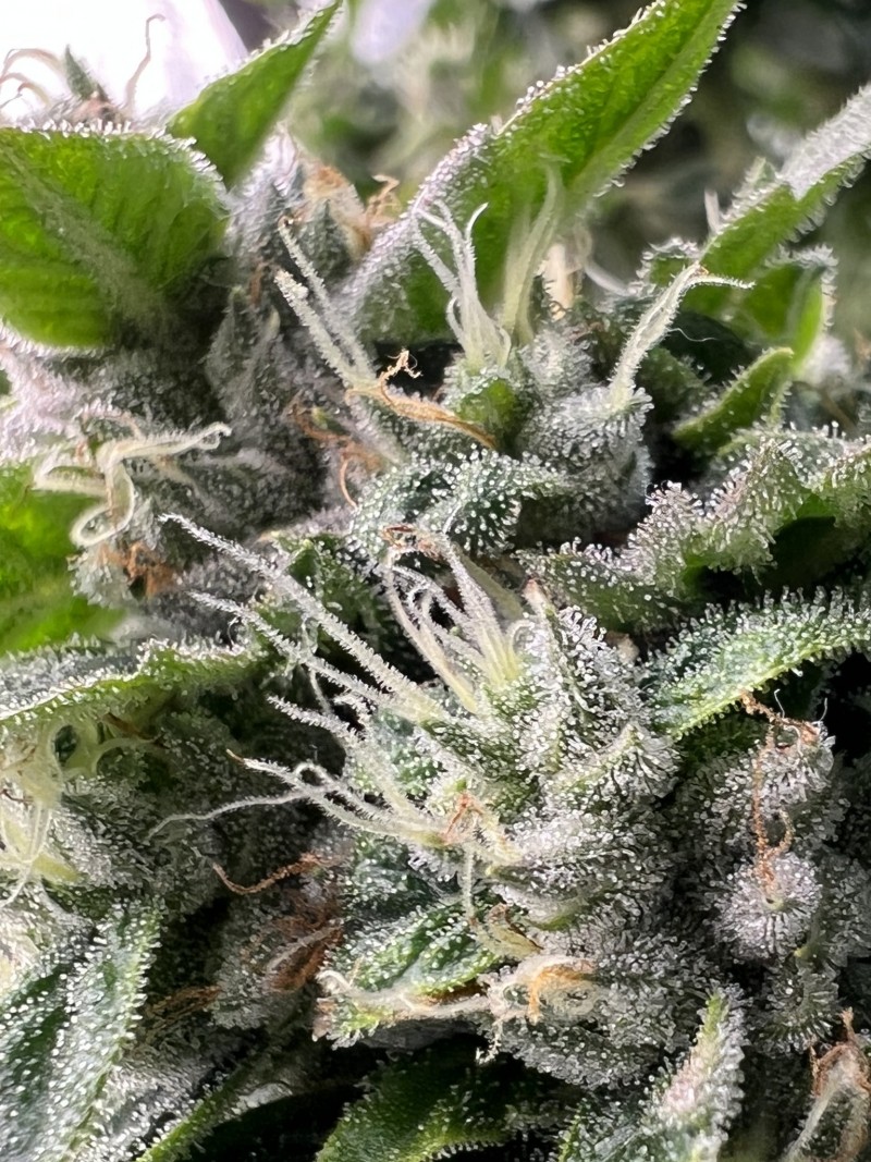 B41F6A34-D932-40A1-872E-EEA1C2431011