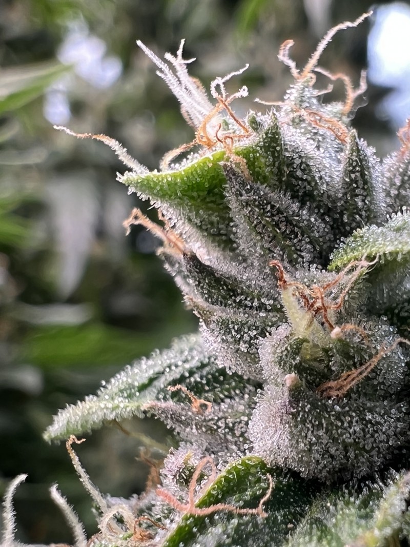 9FC3ACC2-E9C9-4898-961D-B3CF6C8F6EDB