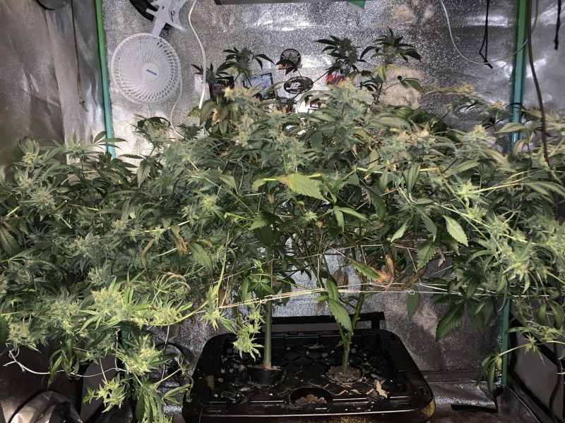 A083F6AC-0B20-495F-BCCF-57D9BA916E24