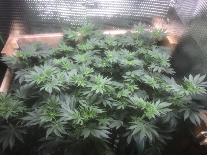 FE375F33-BC8D-4C8B-8D82-613EEE08CE8B