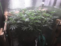 DB06ED95-19D5-4EDF-A375-5C340A0C5103