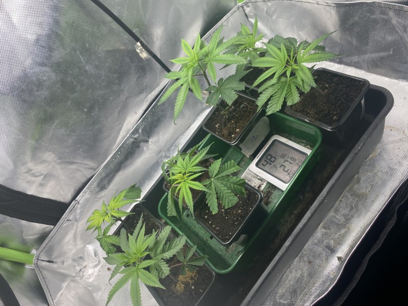 51AA26C9-E7DD-48D5-AAE3-C6225E001C67