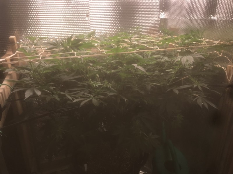 EFD87C93-C1CC-46B0-8A1E-B5C2E71F67D1