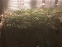 EFD87C93-C1CC-46B0-8A1E-B5C2E71F67D1