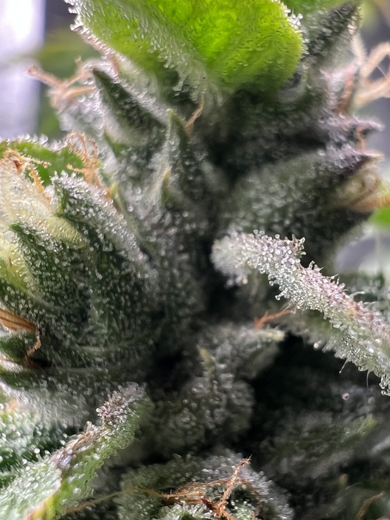 246B13B3-ED38-4BCA-A778-D667DBAF7221