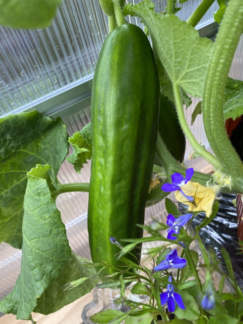 55726372-803C-4E7D-9796-DFC4309AE622