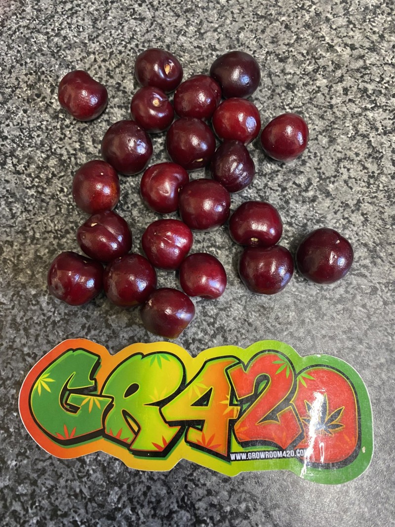 F3B93D15-4607-4A58-8B12-D8D98D63735F