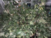 120E5F86-AE18-4065-87E6-FCFFF1F7ADC5