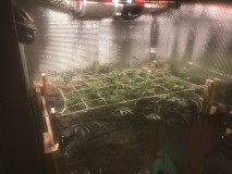 FC9D8470-4CDE-4B2D-AB9D-DDF536455B06