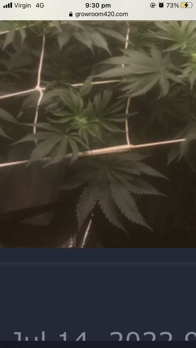 632EC194-B445-42DF-8397-C3C16F52D303