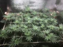 97A16434-A974-4049-AFC6-AC11F26C29D4