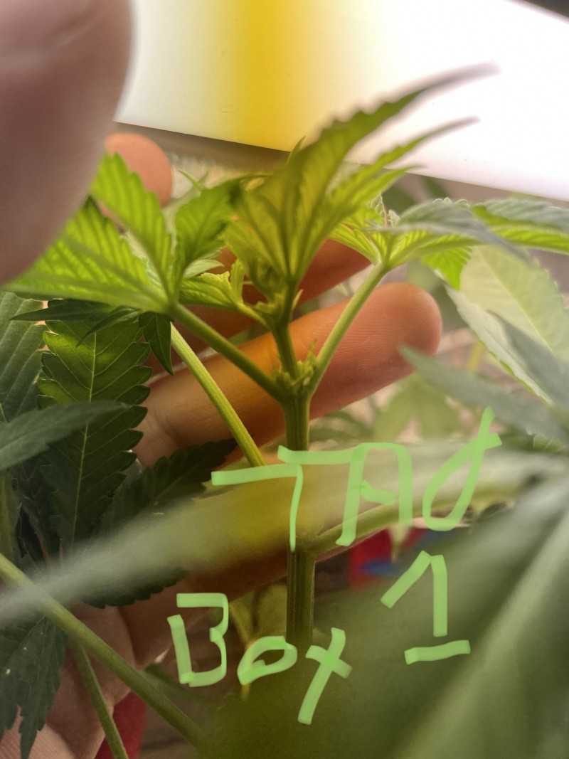 1DBAAAB1-4B36-4F68-AEED-B4C394DF21F7