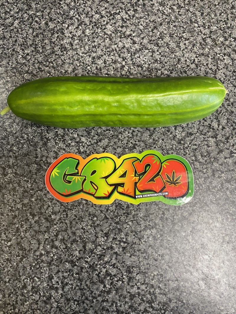 DACF2609-BCF1-47A5-9028-D619C0D19146