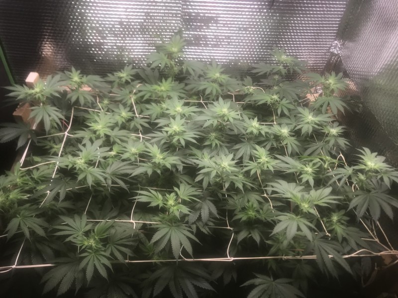 7153715A-FBDC-45E5-BFCD-4345C467C285