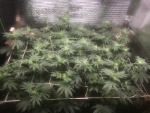 7153715A-FBDC-45E5-BFCD-4345C467C285