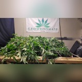 quicksquarenew_2022720222025901