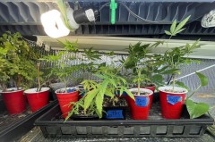 6F62525D-9AEC-43C3-A866-7FCD49EF872A