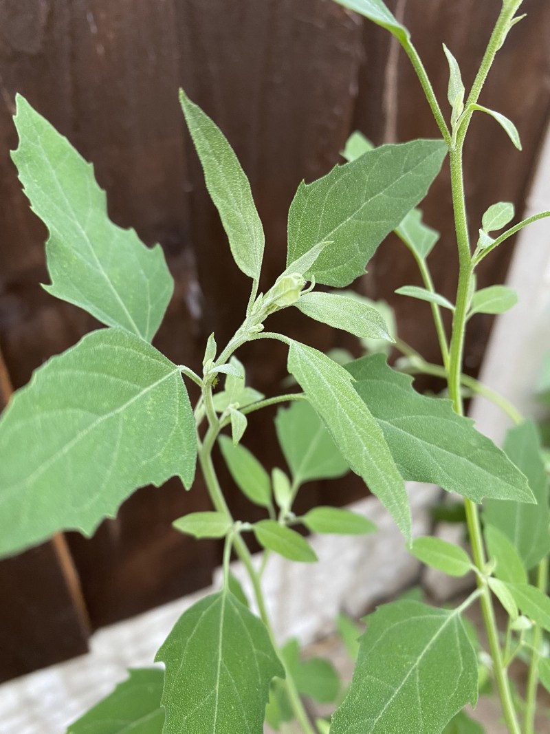 C2FFC603-F0B2-418A-8182-D2B04FD052A3