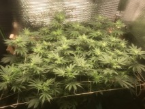 3B9E3DFD-CF24-45E9-86F2-E703F6A2AB47