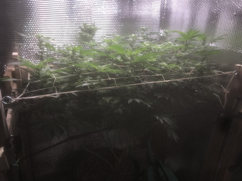 47924C70-1A90-42A8-A4BF-D481D0382B31