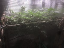 47924C70-1A90-42A8-A4BF-D481D0382B31