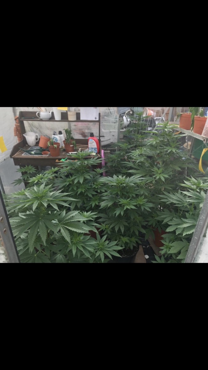 96B06E54-D7B4-482A-A0BF-9F76FE7236AA