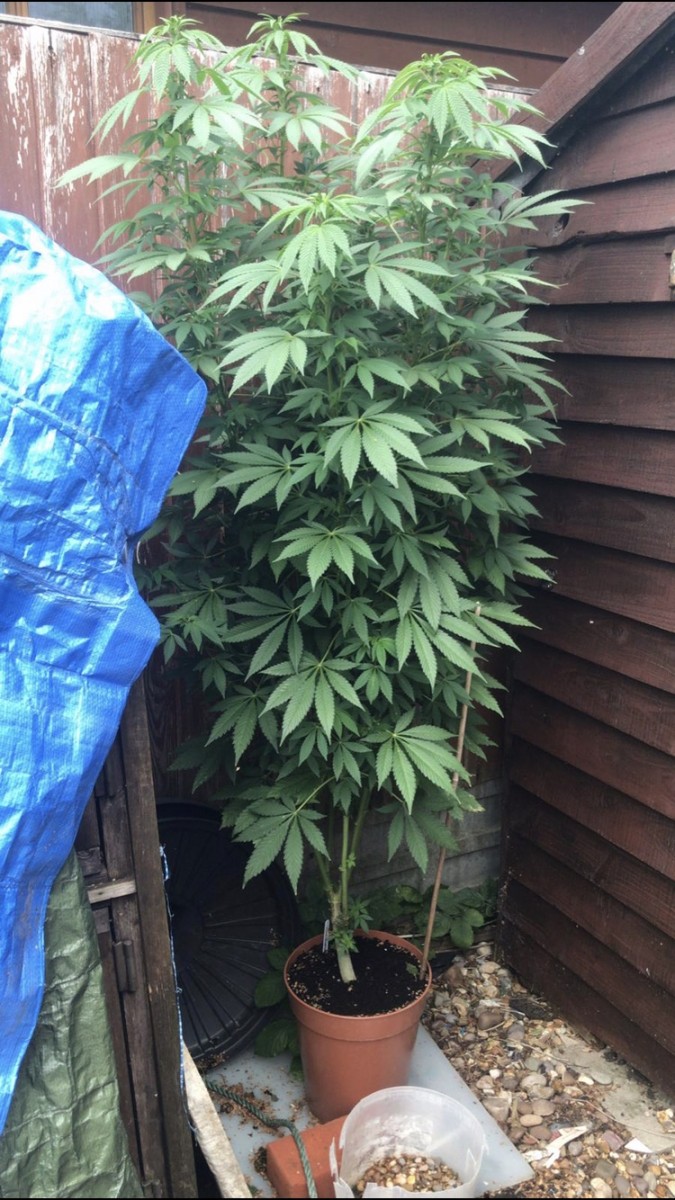 D493685B-ADD3-4262-B625-71F30B1C144F