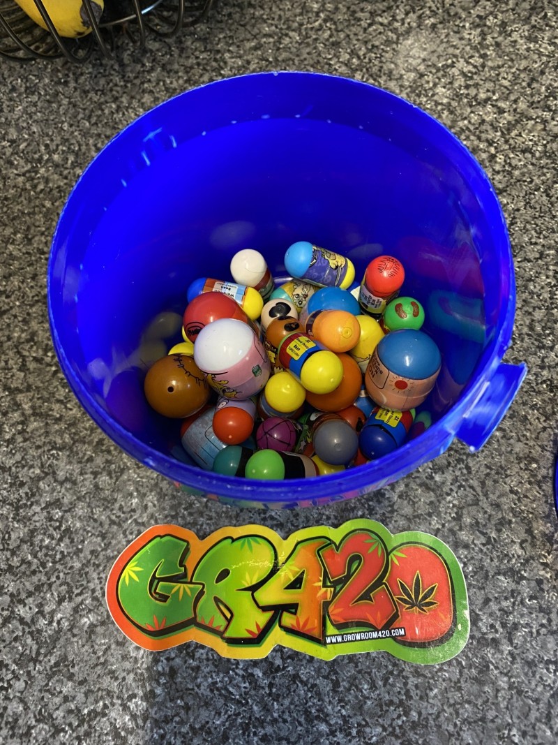 4947D355-E51C-45E8-A312-91E0AF0958B4