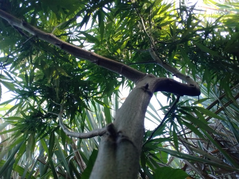 IMG_20220728_162416_HDR